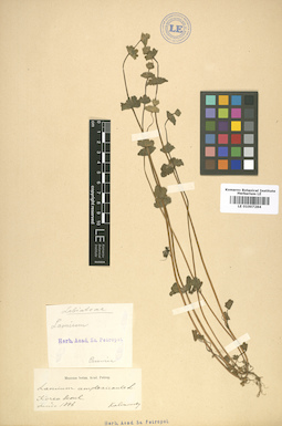 LE 01007284