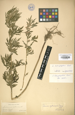 LE 01007289