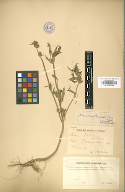 LE 01007290