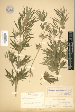 LE 01007291