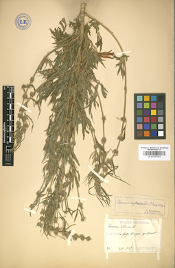 LE 01007292