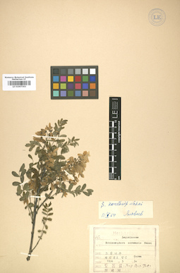 LE 01007303
