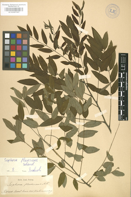 LE 01007307