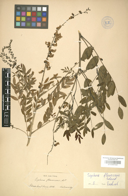 LE 01007310