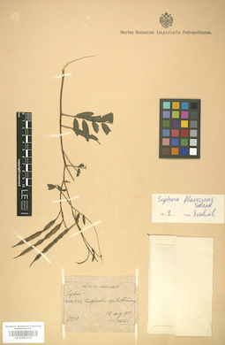 LE 01007319