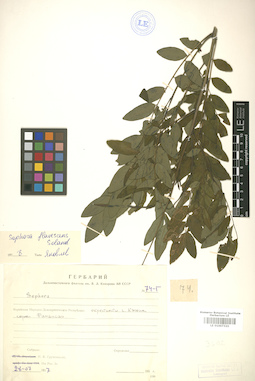 LE 01007321