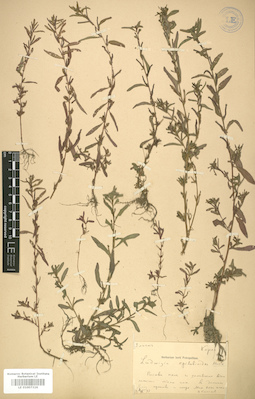 LE 01007326