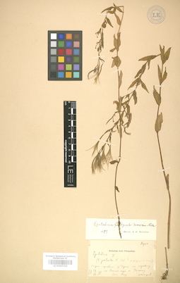 LE 01007334