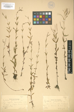 LE 01007336