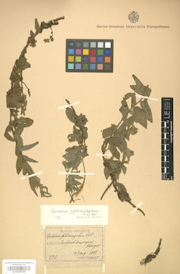 LE 01007340
