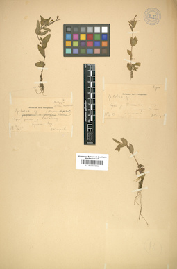 LE 01007341