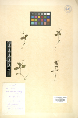 LE 01007344