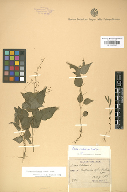 LE 01007347