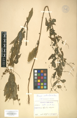 LE 01007349