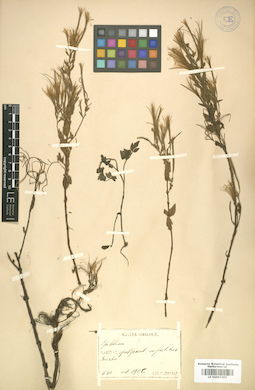 LE 01007357