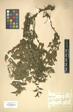 LE 01007359