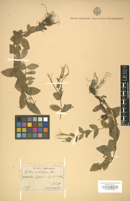 LE 01007360
