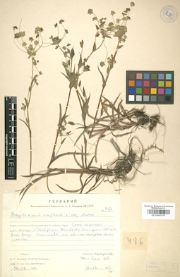 LE 01007375