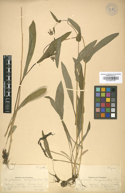 LE 01007378