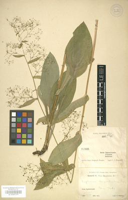 LE 01007379