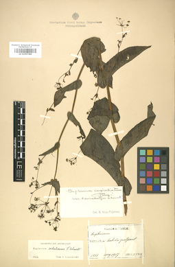 LE 01007385