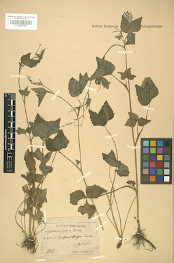LE 01007401