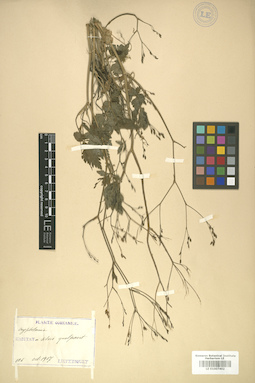 LE 01007402