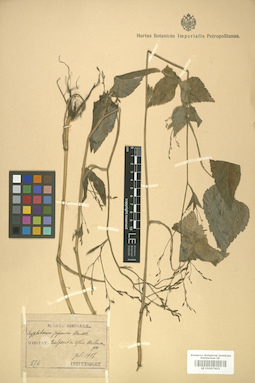 LE 01007403