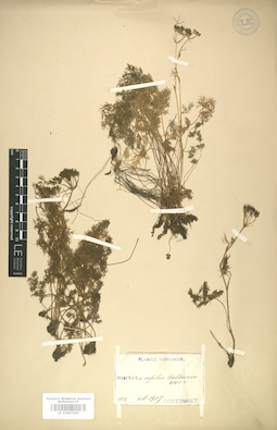LE 01007430