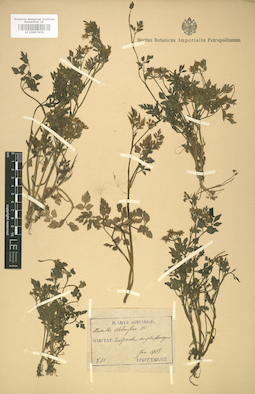 LE 01007436