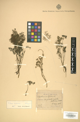 LE 01007451