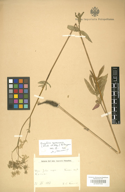 LE 01007456