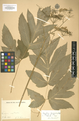 LE 01007463