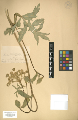 LE 01007467