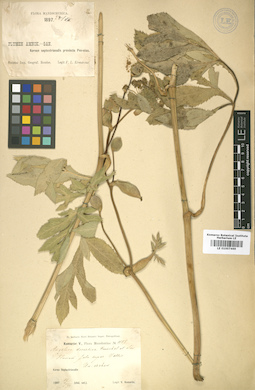 LE 01007469