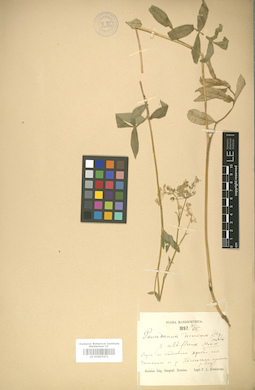 LE 01007471