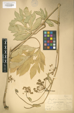 LE 01007472