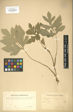 LE 01007473