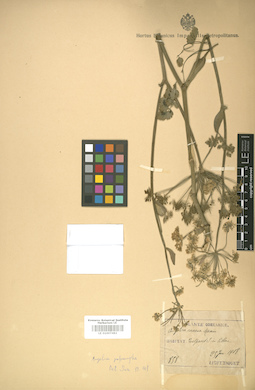 LE 01007482