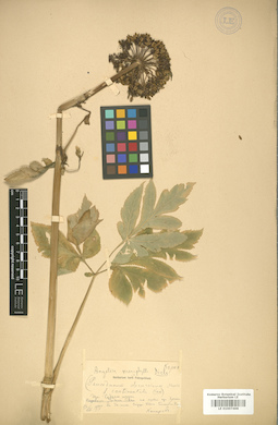 LE 01007488