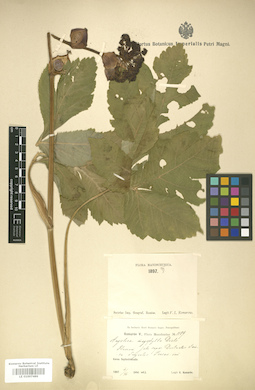 LE 01007489