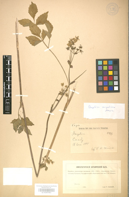 LE 01007492