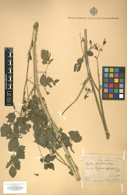 LE 01007493