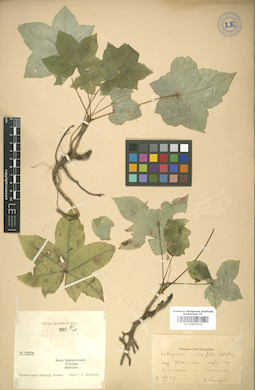 LE 01007540