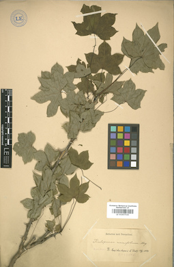 LE 01007543