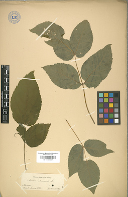 LE 01007547
