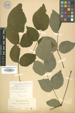 LE 01007548