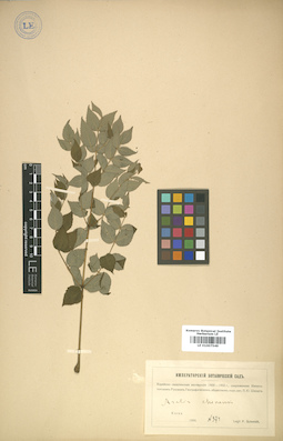LE 01007549