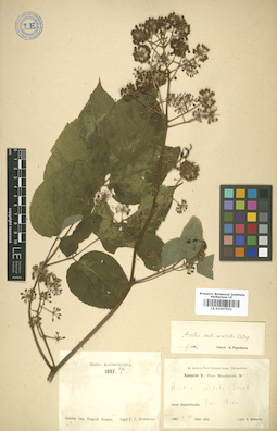 LE 01007551