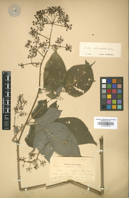 LE 01007553